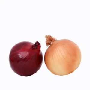 Onion