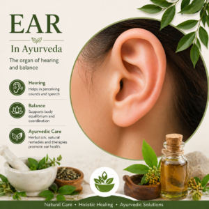 Ear