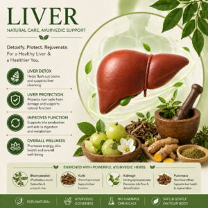 Liver